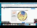 Gizmo Cell Structure