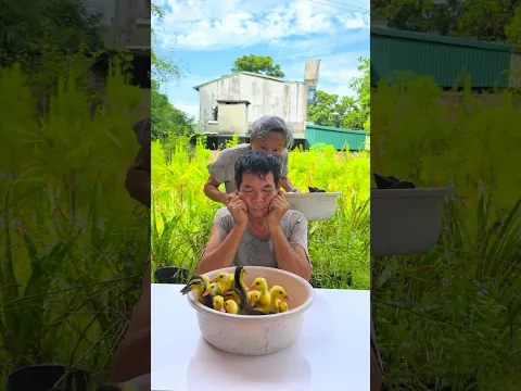 Hai anh em trêu chọc nhau siêu dễ thương 🍉🦆🐤🐰🐇😂😱👶🏻♥️👴 #shorts #cute