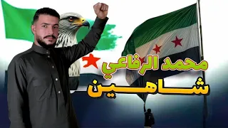 محمد الرفاعي شاهين فديو كليب حصريا 2025 