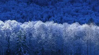 موسيقى هتلر موسيقى حماسية النازية الالمانية 