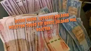 Ossoo Caraa Lotoorii Dolaraa Miliyyoni Tokko Sif Bahee Jalaqabaa Mal Hojetaa 