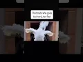 Download Lagu This Cockatoo’s Dance Moves Are Absolutely WILD 😂🕺