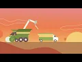 The Life of a Soybean