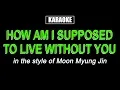 Karaoke - How Am I Supposed To Live Without You - Moon Myung Jin