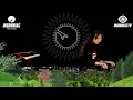 LP Giobbi for Insomniac Records Livestream (January 27, 2021)