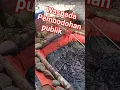Download Lagu Carinya untung malah akhirnya buntung😂