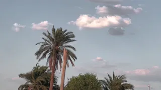 سيعود حقك ذات يوم دندنها