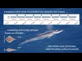 Download Lagu Distributed Acoustic Sensing on the OOI’s Regional Cabled Array - Tracking fin whales in Oregon