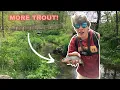 Use THIS FLY for MORE stocked TROUT iowa fishing