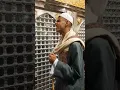 Download Lagu Sheikh Ahmad Shukhaibi - Ya Qurrat Aynee, Ya Jaddal Hasnaini (صلى الله عليه و آله وسلم)