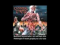 Download Lagu Cannibal Corpse Eaten Back To Life FULL ALBUM WITH LYRICS