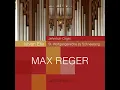 Introduktion und Passacaglia in F Minor, Op. 63: Passacaglia