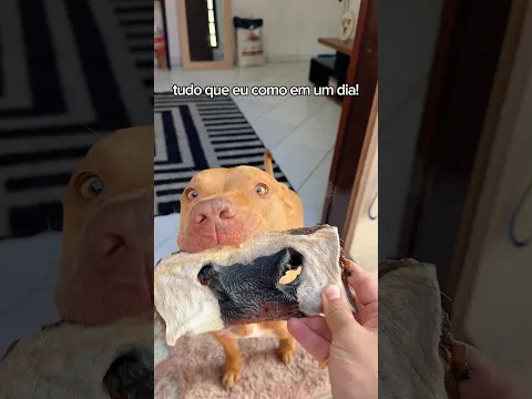 #publi TUDO QUE EU COMO EM UM DIA 🤤#pets #cachorro #pitbull #alimentação #rotinadodia #animais #dog