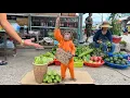 Download Lagu CUTIS Farmer Enlist Harvest Bitter Melon Then Sell In Smart Special Way At Market