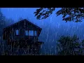 Download Lagu Barulho de Chuva para Dormir ⛈ Som de Chuva Relaxar e Trovão para Dormir e Relaxar #14 Sleep Sounds