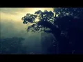 Loscil - Sickbay (HQ Video)