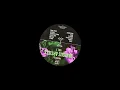 Sunflwr - Montage I.a
