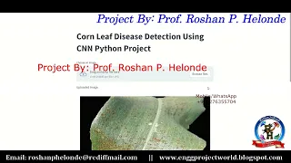 Corn Leaf Disease Detection With Source Code Corn Leaf Disease Identification Using Python Project