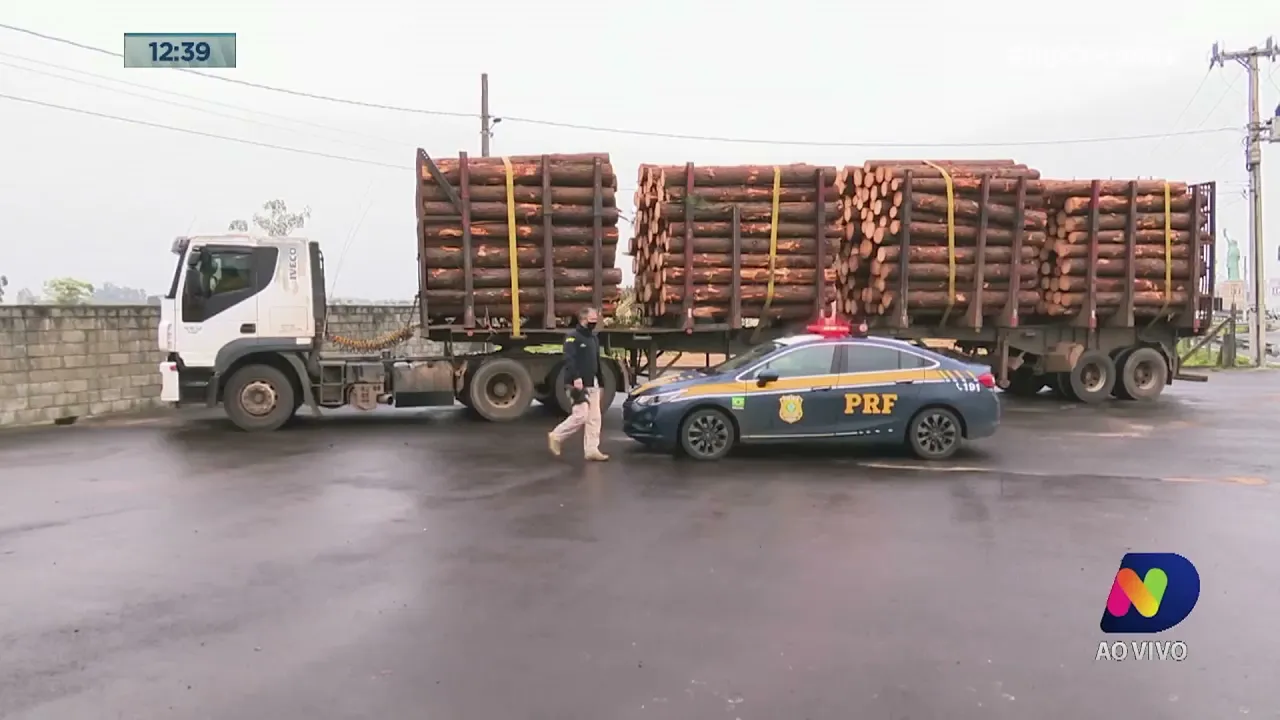 Balança de pesagem da BR-101, em Araranguá, está há pelo menos um ano sem funcionamento