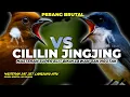 Lagu MATERI BRUTAL!!!! MASTERAN PETULAK JINGING VS CILILIN || MASTERAN CILILIN GACOR || MASTERAN JINGJING