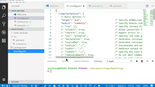 TypeScript for Node js