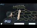What is Hierarchical Inheritance in C Hindi