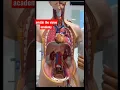 Download Lagu #Human skeleton system #mbbs #human body #3D animation #neet #medical #shorts #science #nursing