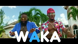 diamond platnumz featuring rick ross waka uchambuzi wa audio na video