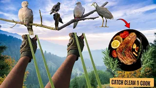 Jungle Survival Solo: Slingshot Hunting, Catch & Cook Adventure [2026]