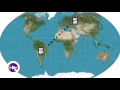 FreeCom Active Citizenship