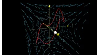 Flying through a vector field