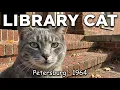 Library Cat The Forgotten Story of Thomasina Petersburg 1964