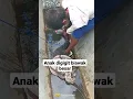 Download Lagu Biawak besar terkam anak kecil #short #biawak #buaya