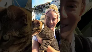 Back to work. It’s a stew life for me! Part 1