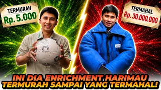 ENRICHMENT SATWA2 ALSHAD DARI TERMURAH SAMPAI TERMAHAL!