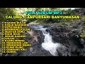 Download Lagu FULL ALBUM MP3 CALUNG CAMPURSARI BANYUMASAN, RICIK RICIK, BENDRONG KULON, ELING ELING