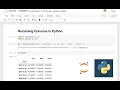 Rename Columns in a DataFrame in Python