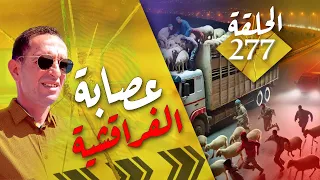 الحلقة 277 عصا بة الفراقشية سرقو الغنم ليلا و هربو قصة مشوقة تستحق المتابعة مع لاجودان ادريس حجي 