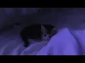 stop thinking go to sleep