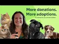 How to Raise Money for an Animal Shelter 6 Proven Strategies