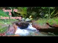 Download Lagu Terapi air untuk burung stres macet bunyi | bird water Therapy