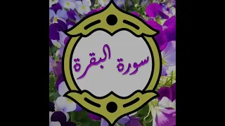 سورة البقرة كاملة بدون حقوق نشر 