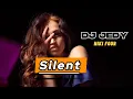 Lagu DJ JEDY \u0026 Niki Four - Silent | Official Video | Deep House