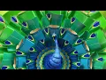 Kaleidoscope Animated TV Commercial Sherwin Williams