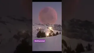  في همس الشجر  بلاقي حبيبي   وضي القمر    بشوفه حبيبي دندنها
