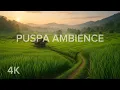 Download Lagu Relax for sleep Ubud Rice Terraces Paddy Fields in BALI ,Indonesian . | 4K . Enjoy !!!