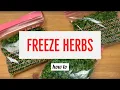 How to Freeze Store Your Fresh Raw Herbs