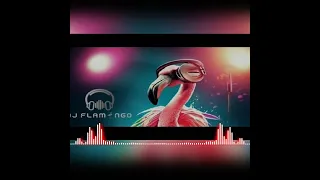 اسعد الفارس تكتل كتل Dj Flamingo 