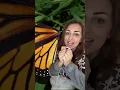 Download Lagu If you see this butterfly run fast! #shorts