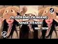 Download Lagu DJ GOYANG DUMANG X NINIX TITANIC VIRAL TIKTOK